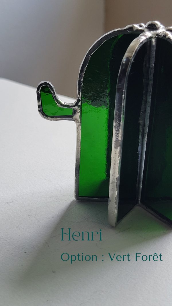 1 Henri le cactus