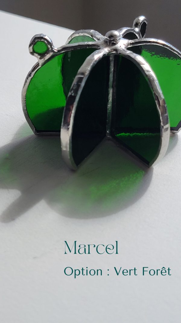 1 Marcel le cactus