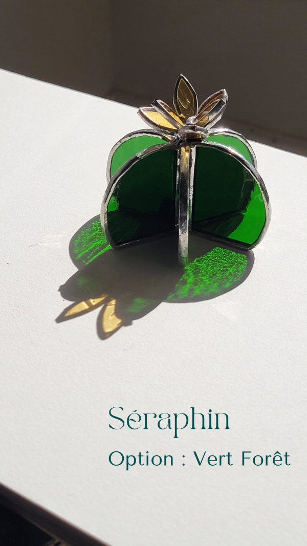 1 Séraphin le cactus