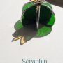 1 Séraphin le cactus