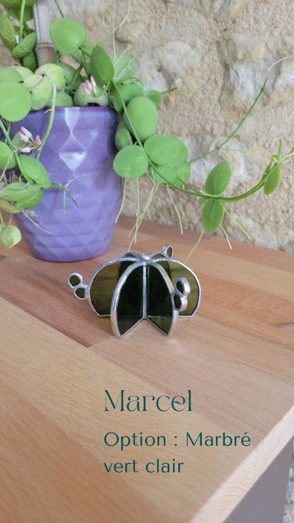 10 Marcel le cactus