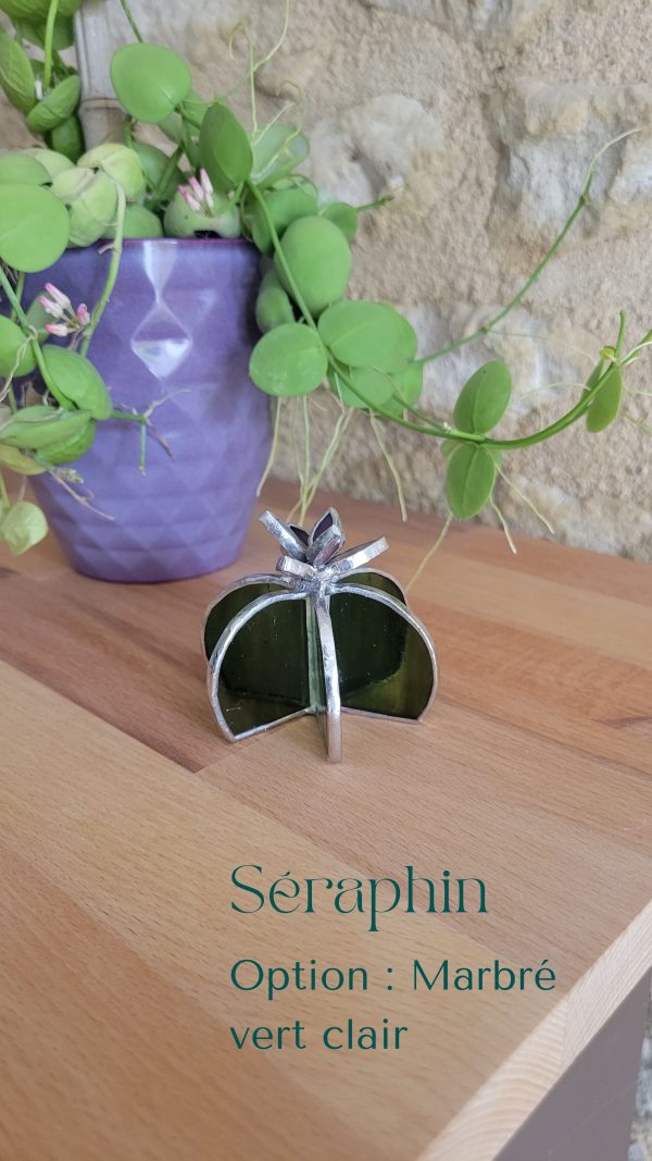 10 Séraphin le cactus