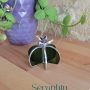 10 Séraphin le cactus