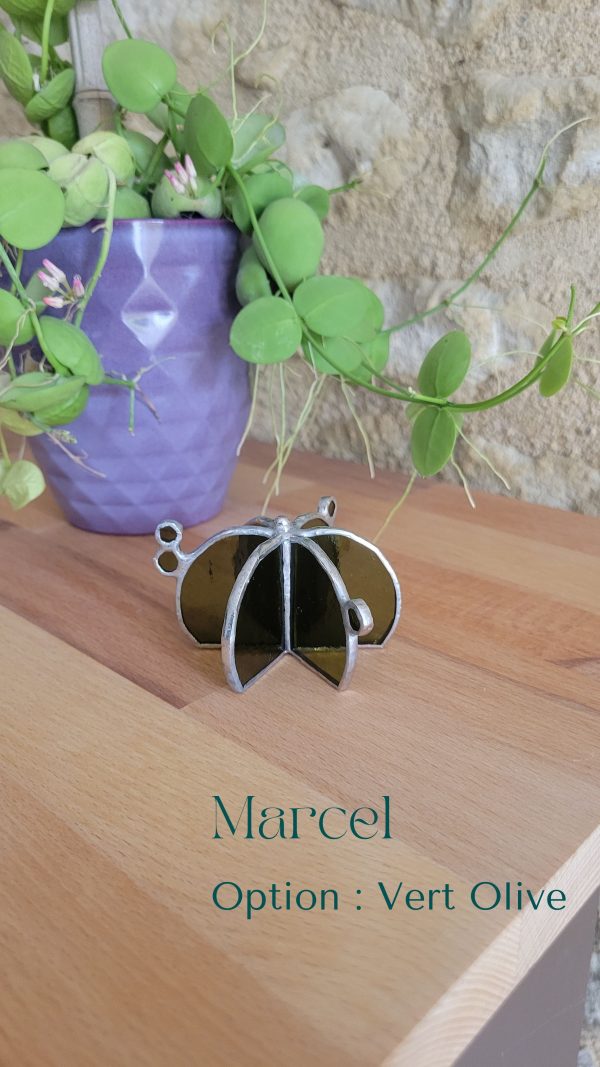 11 Marcel le cactus