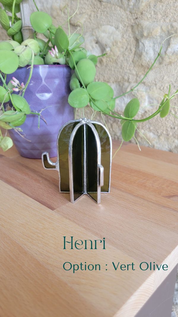 11 Henri le cactus