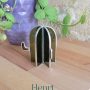 11 Henri le cactus