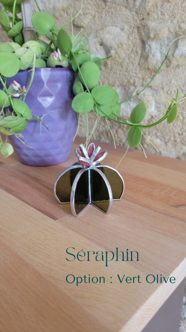 11 Séraphin le cactus