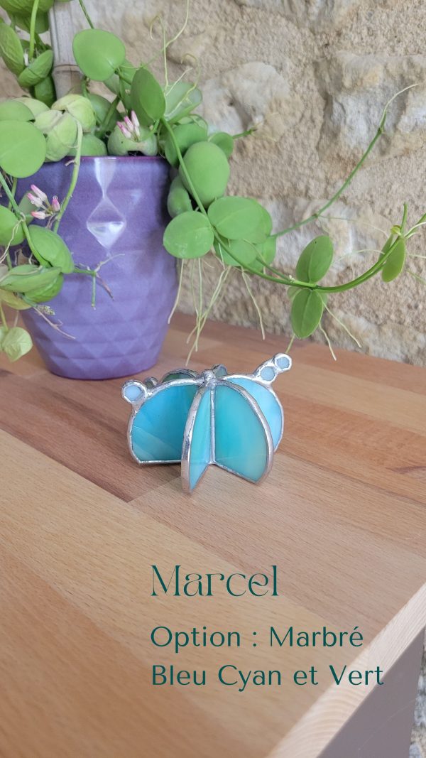 12 Marcel le cactus