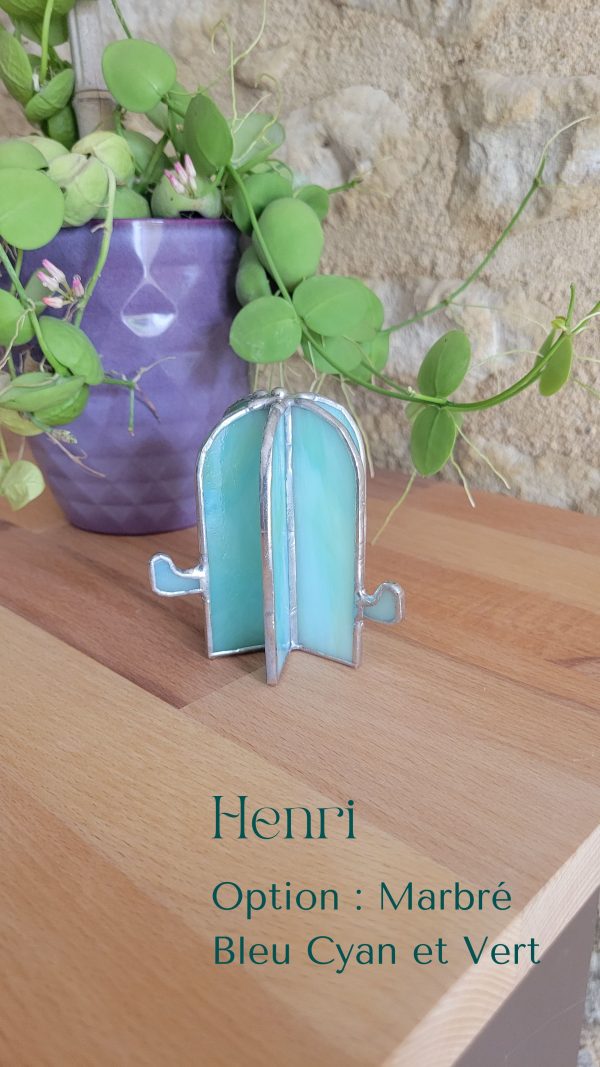 12 Henri le cactus