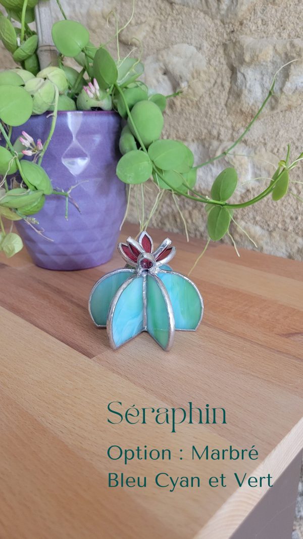 12 Séraphin le cactus