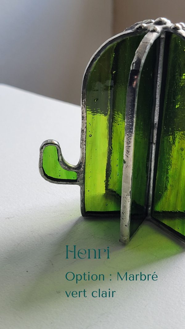 2 Henri le cactus