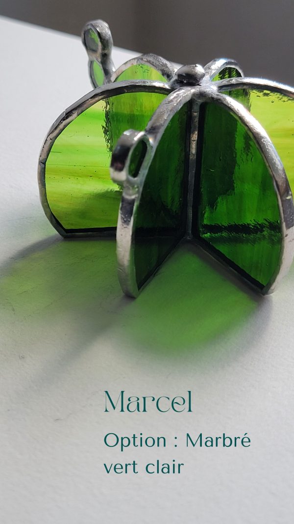 2 Marcel le cactus