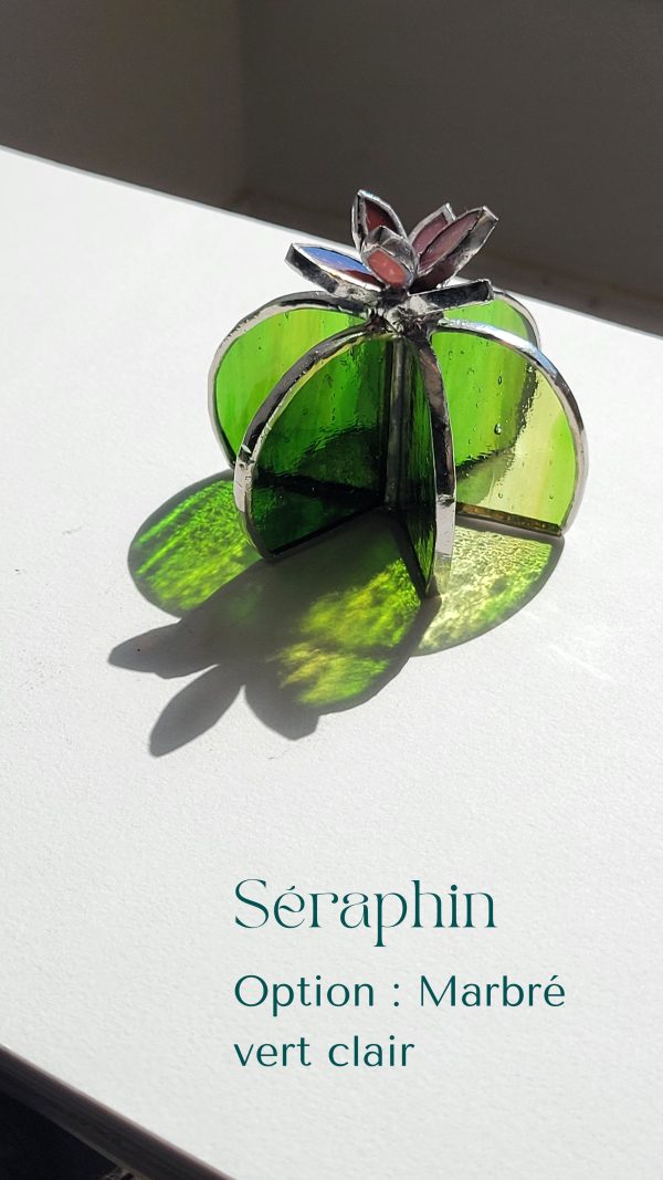 2 Séraphin le cactus