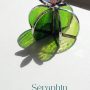 2 Séraphin le cactus