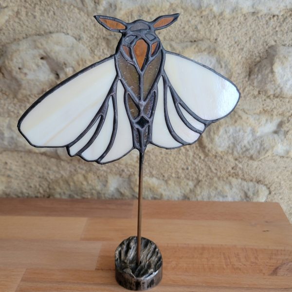 Noctuelle d’Ambre