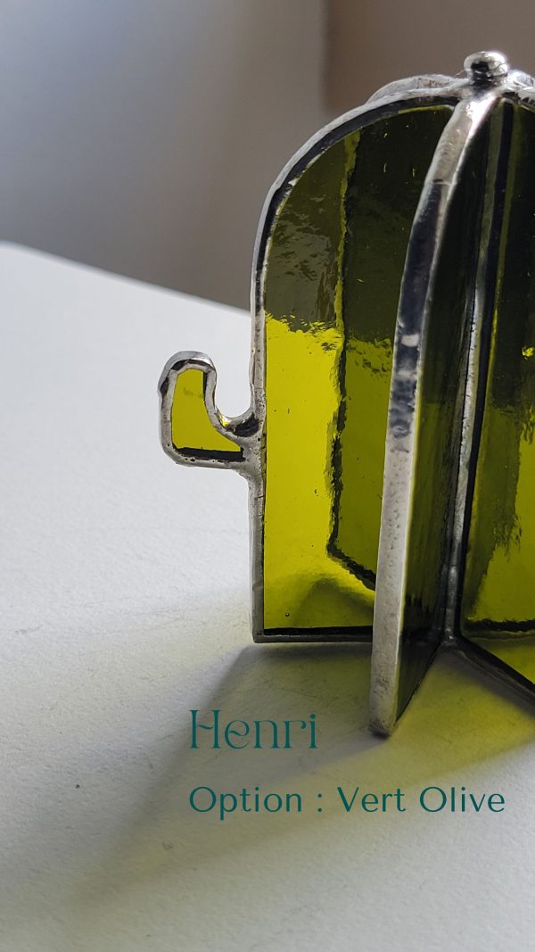 3 Henri le cactus