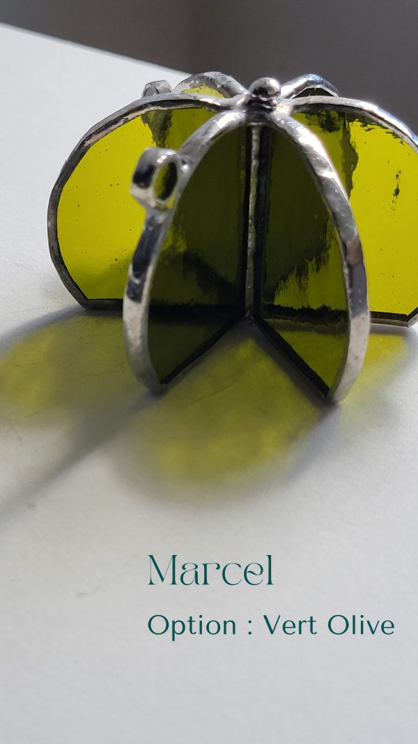 3 Marcel le cactus