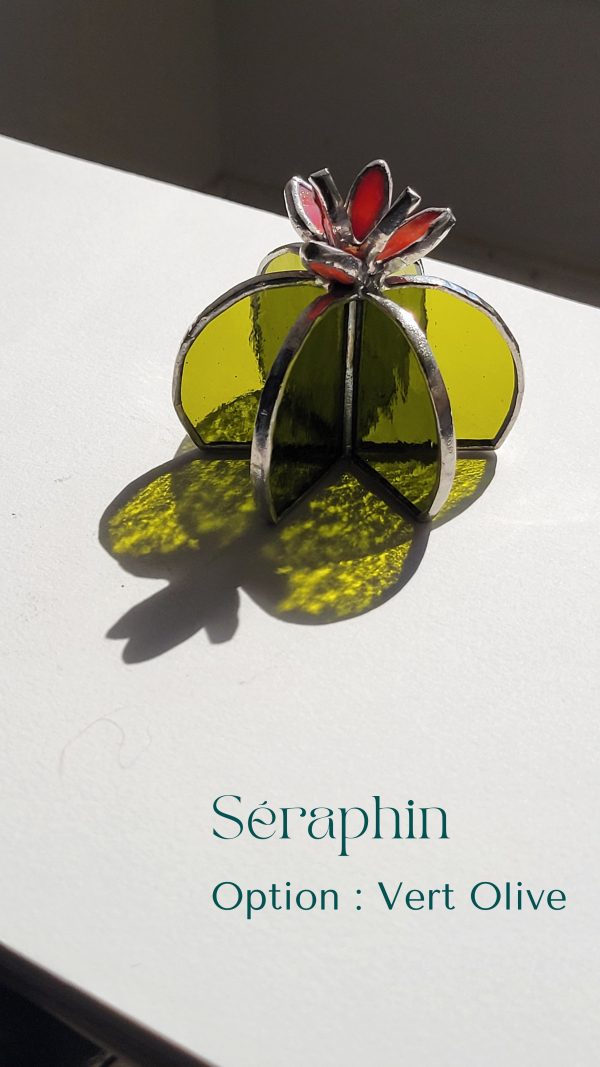 3 Séraphin le cactus