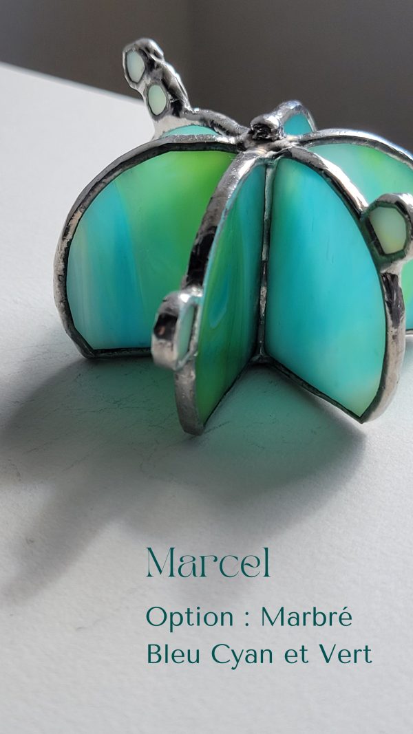 4 Marcel le cactus