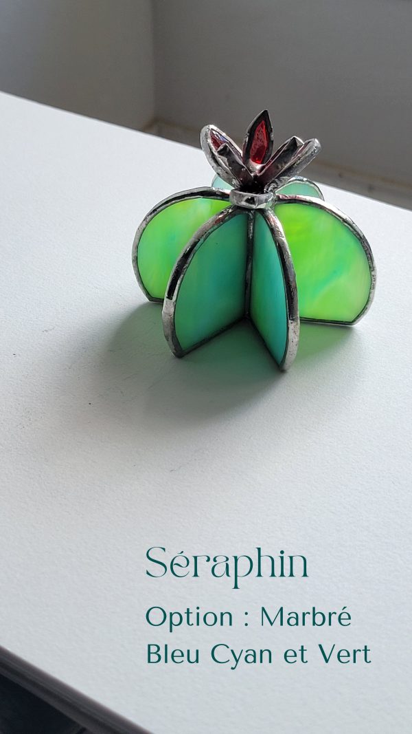 4 Séraphin le cactus