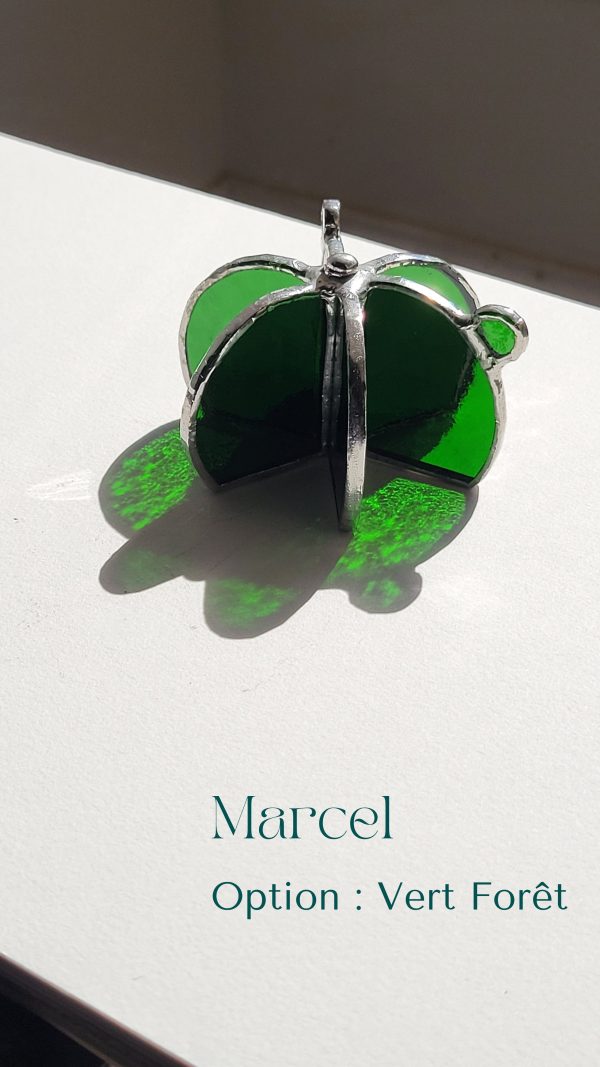 5 Marcel le cactus