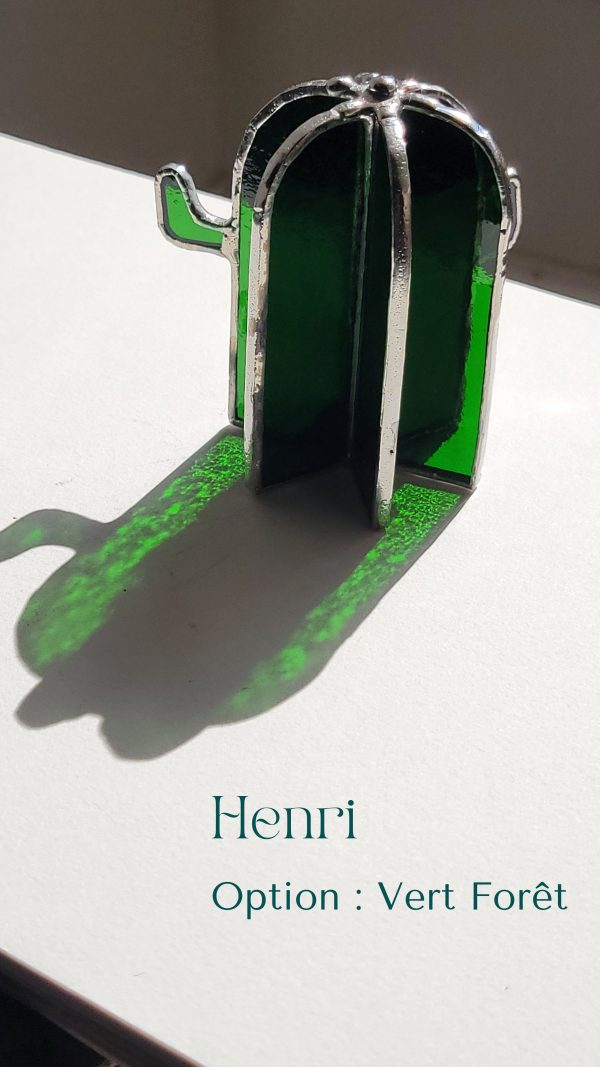 5 Henri le cactus