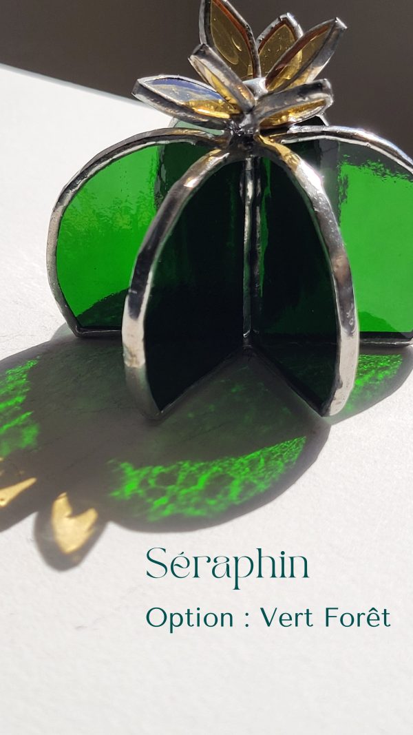 5 Séraphin le cactus