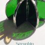 5 Séraphin le cactus
