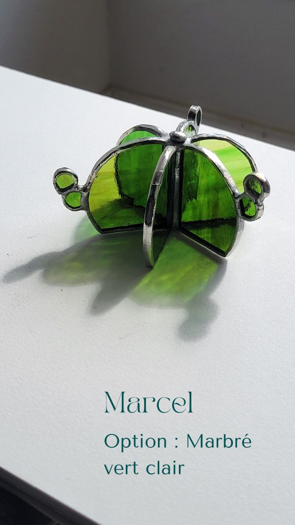 6 Marcel le cactus