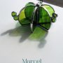 6 Marcel le cactus