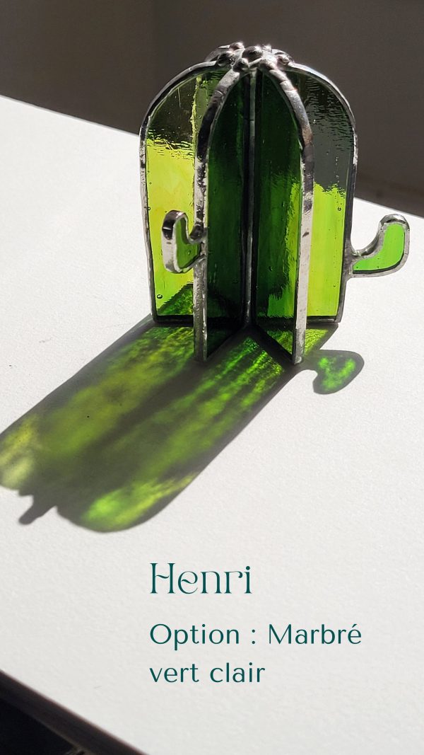 6 Henri le cactus