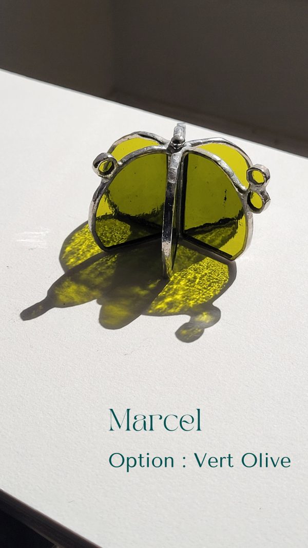 7 Marcel le cactus