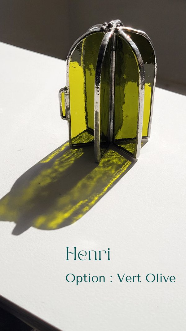 7 Henri le cactus