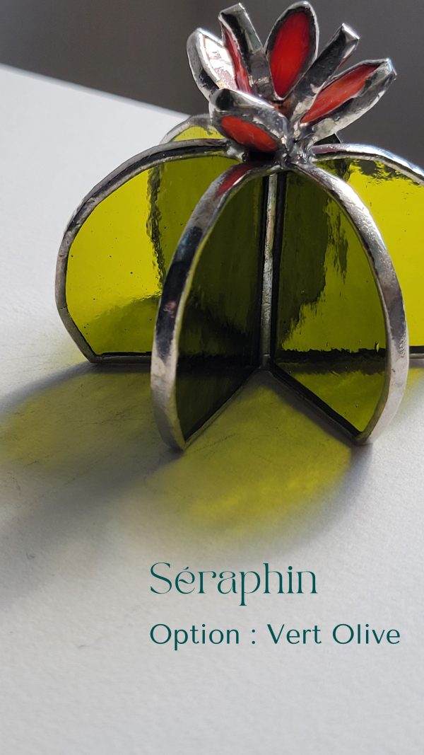 7 Séraphin le cactus