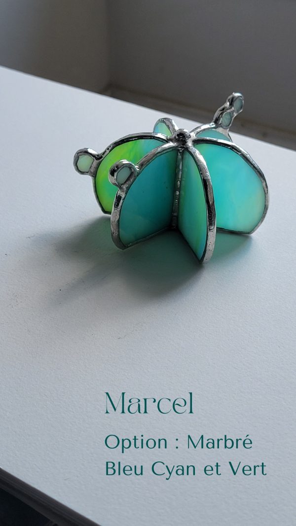 8 Marcel le cactus