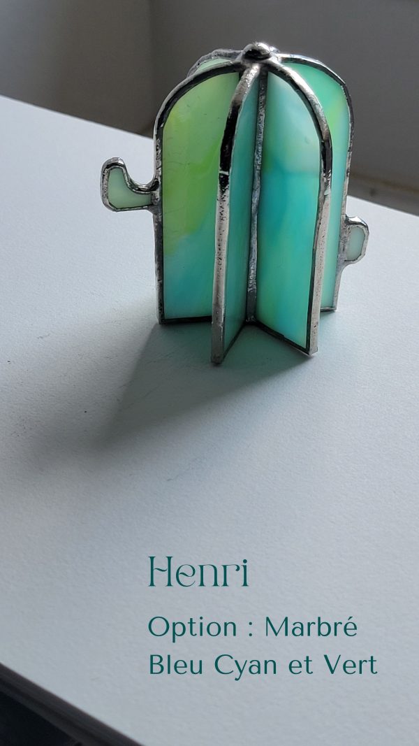 8 Henri le cactus