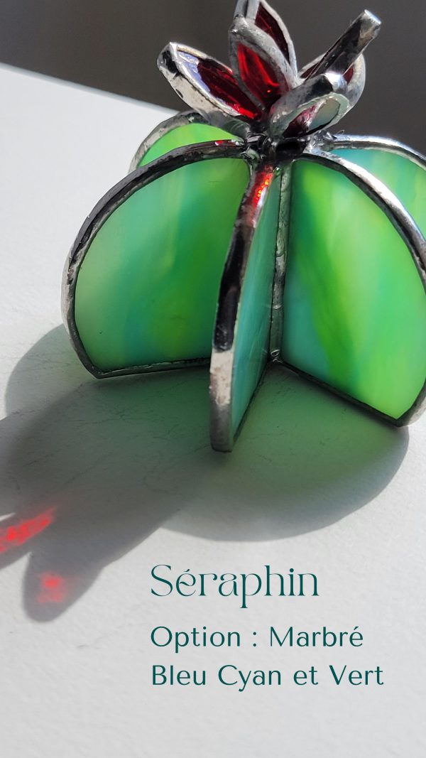8 Séraphin le cactus
