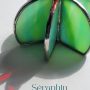 8 Séraphin le cactus