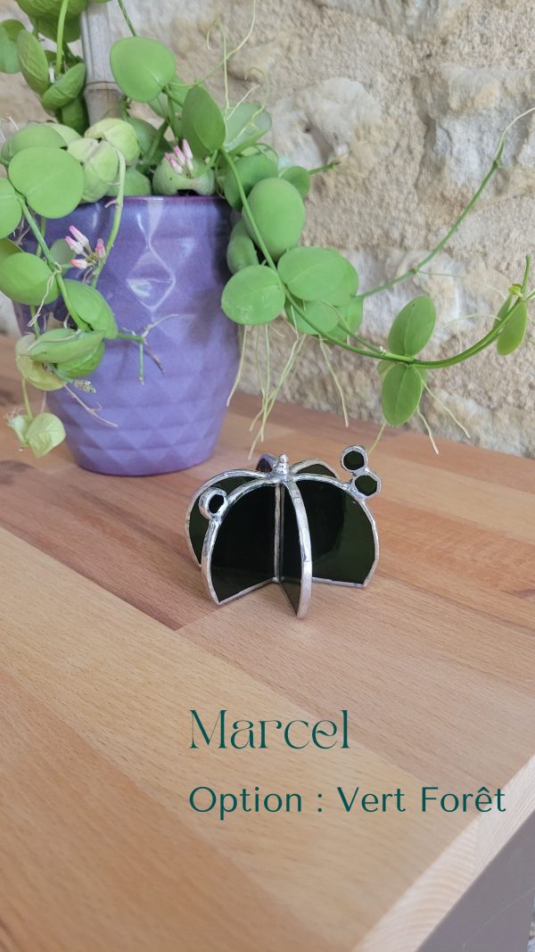 9 Marcel le cactus