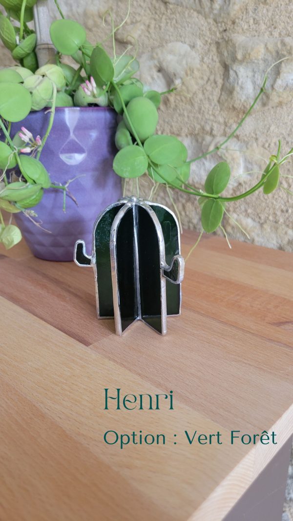 9 Henri le cactus