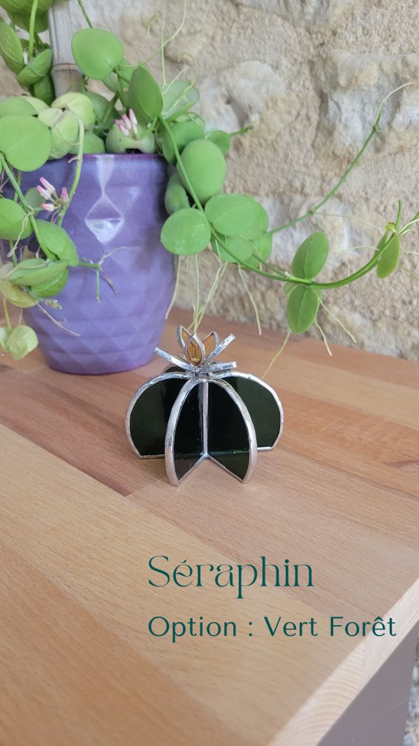 9 Séraphin le cactus