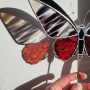20251204_151153 Aile de Rubis