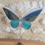 20260318_102252 Aile de Rubis