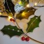 20251112_112238 Couronne de houx