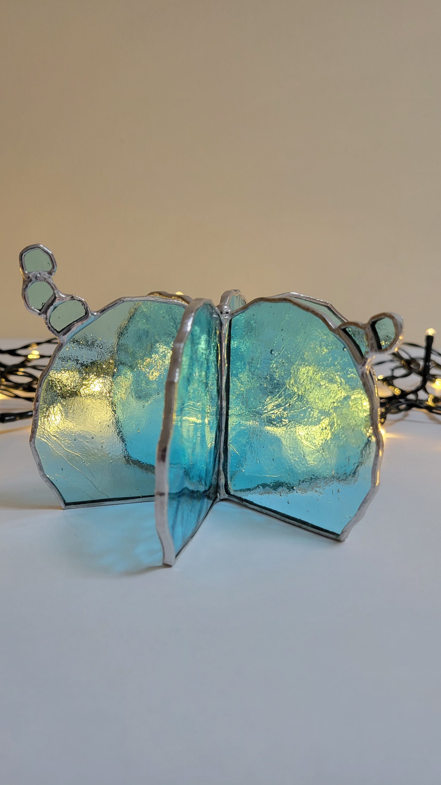 20251112_113148 Miroir Corail