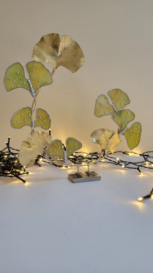 20251112_122935 Ginkgo Éternel