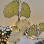 20251112_122943 Ginkgo Éternel