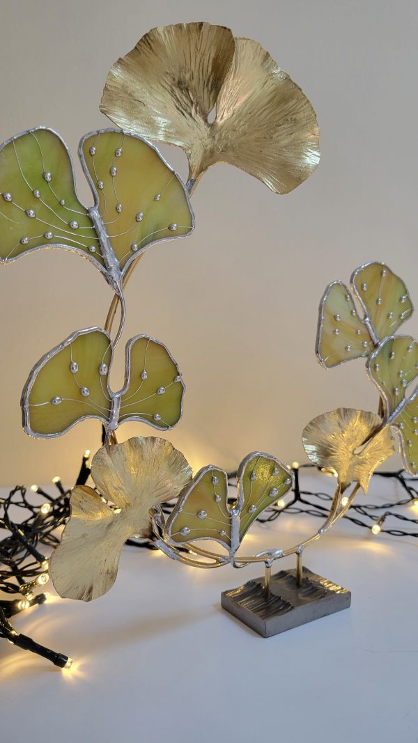 20251112_122949 Ginkgo Éternel