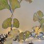 20251112_122949 Ginkgo Éternel