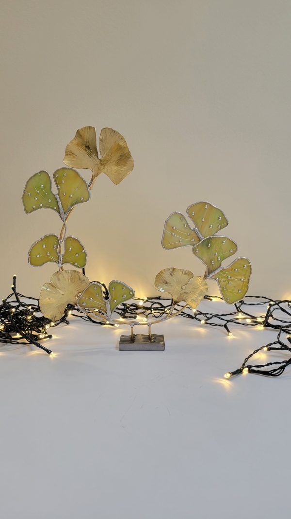 20251112_123138 Ginkgo Éternel